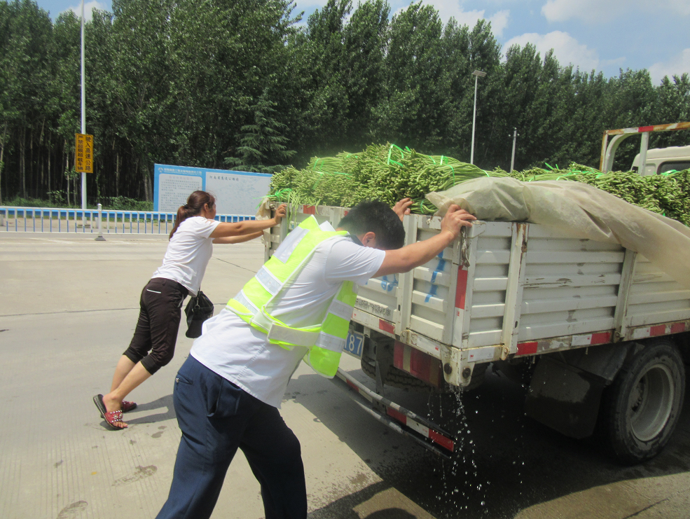 -8586697962361829558.png -8586697962361829558.png